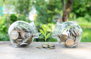 Plant growing from coins outside of two glass jars on blurred green natural background. Natural.