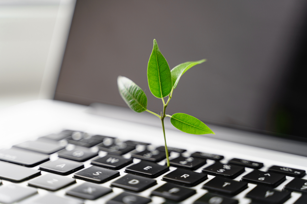 plant growing laptop
