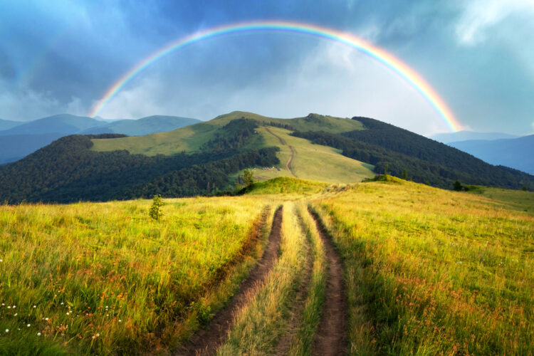 long field with rainbow