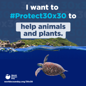 I want to #Protext30x30 to help animals and plants. World Ocean Day