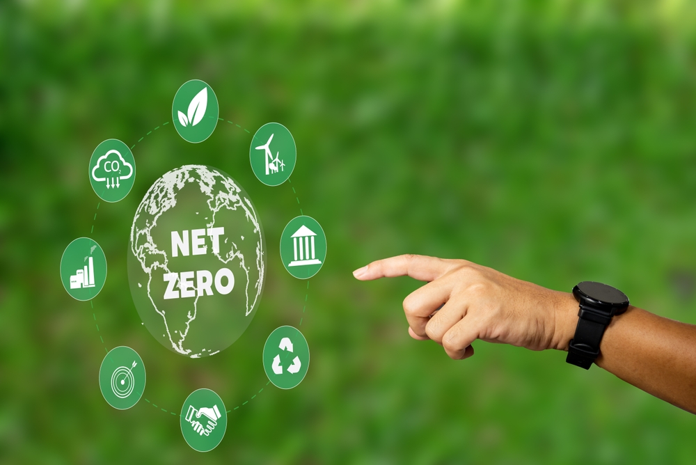 digital net zero text on green background