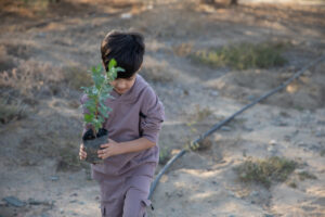 Young boy carrying potted plant