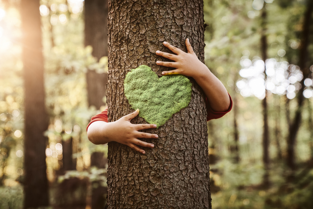 green heart carved into a tree