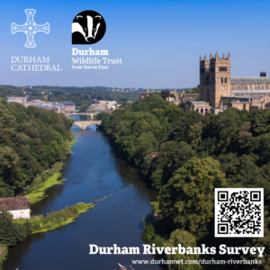 riverbanks event poster