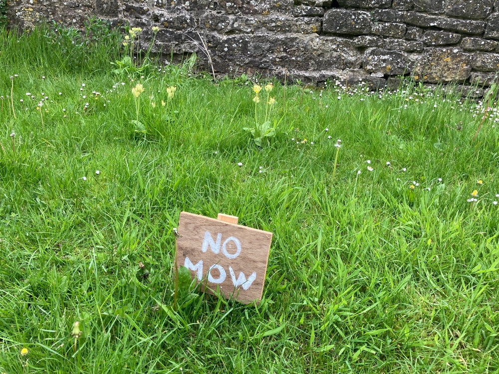 No Mow May