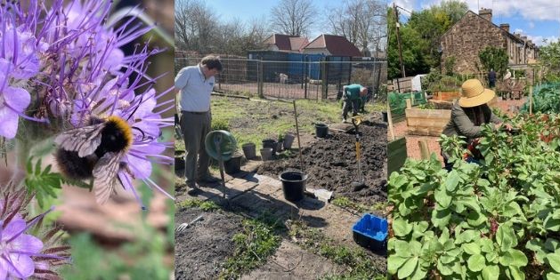 collage of images from the garden