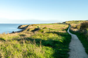 A Clifftop Pathway At Nose's Point Seaham County Durham