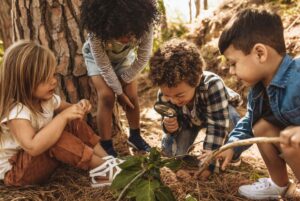 children looking at plants