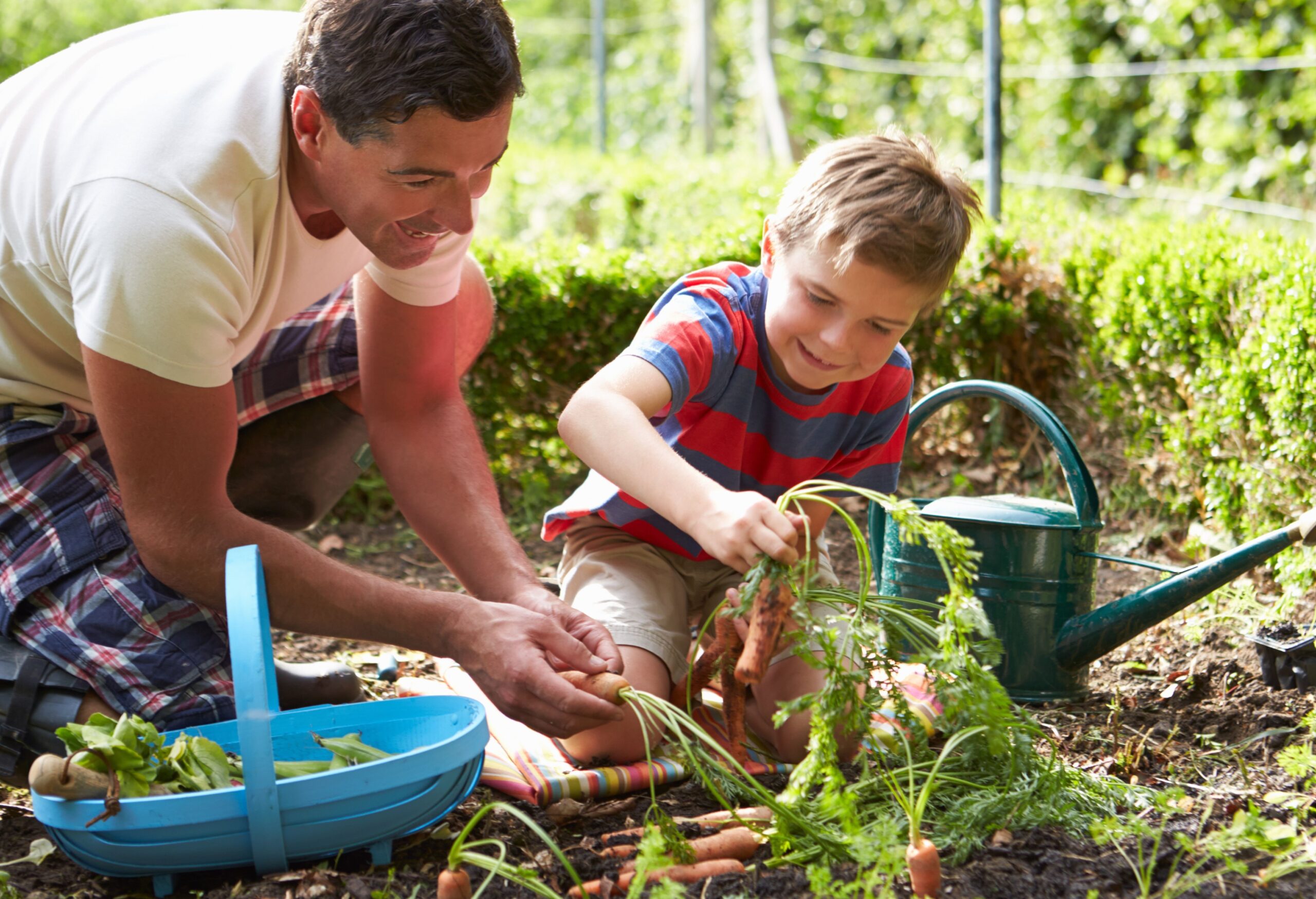 father and son planting carrots