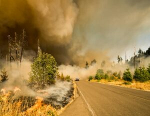 wildfire in america